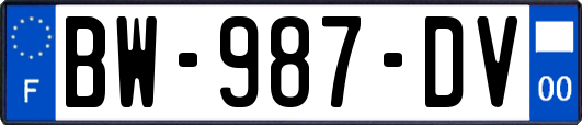 BW-987-DV