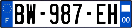 BW-987-EH