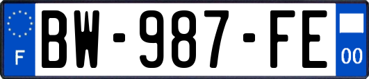 BW-987-FE