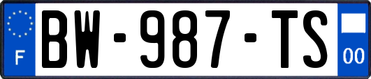BW-987-TS