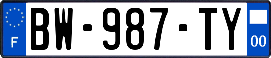 BW-987-TY