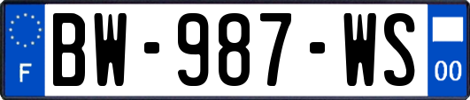BW-987-WS