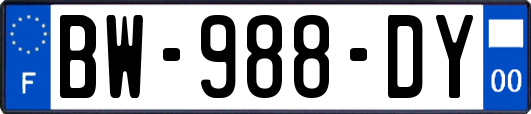 BW-988-DY