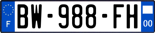 BW-988-FH