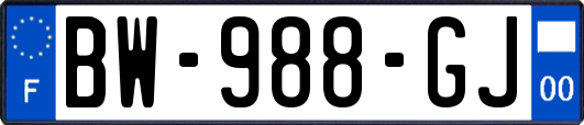 BW-988-GJ