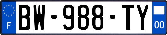 BW-988-TY