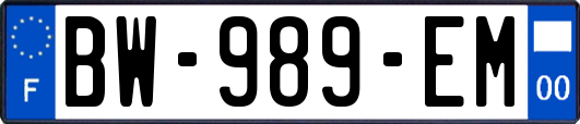 BW-989-EM