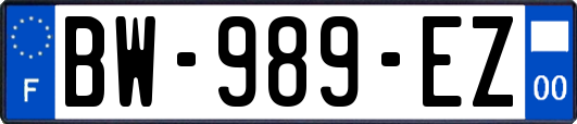 BW-989-EZ