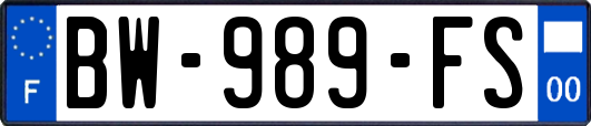 BW-989-FS