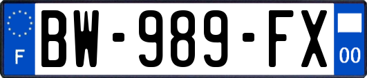 BW-989-FX