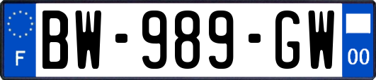 BW-989-GW