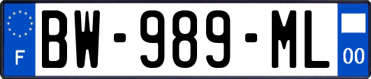 BW-989-ML