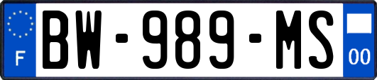 BW-989-MS