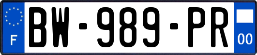 BW-989-PR