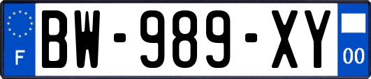BW-989-XY
