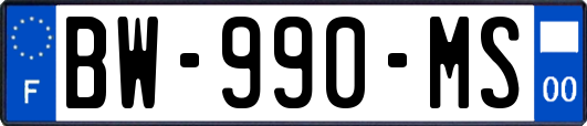 BW-990-MS