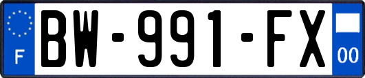 BW-991-FX