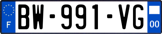 BW-991-VG