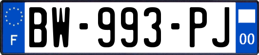 BW-993-PJ