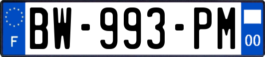 BW-993-PM