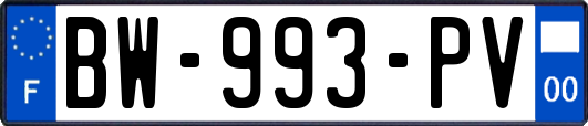 BW-993-PV