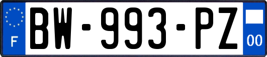 BW-993-PZ