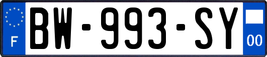 BW-993-SY