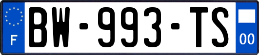 BW-993-TS