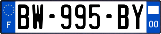 BW-995-BY