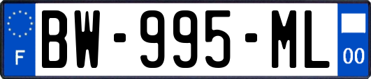 BW-995-ML