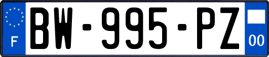 BW-995-PZ