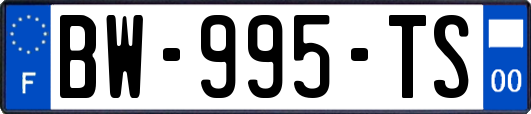 BW-995-TS