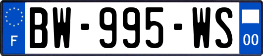 BW-995-WS