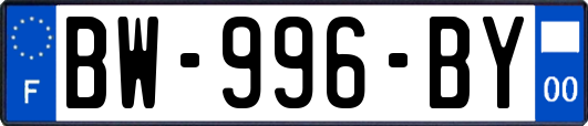 BW-996-BY