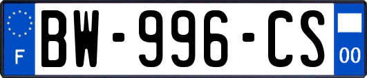 BW-996-CS