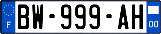 BW-999-AH