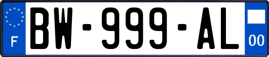 BW-999-AL