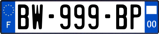 BW-999-BP
