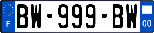 BW-999-BW