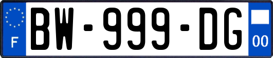 BW-999-DG