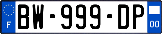 BW-999-DP