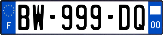 BW-999-DQ