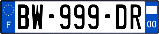 BW-999-DR