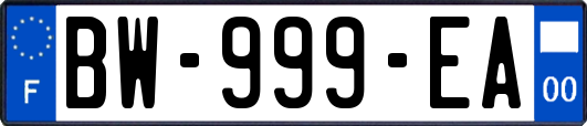 BW-999-EA