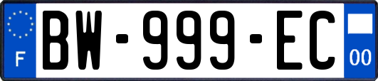 BW-999-EC