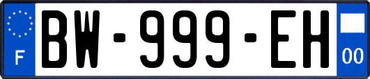 BW-999-EH