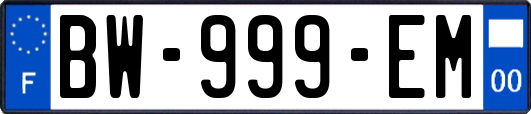 BW-999-EM