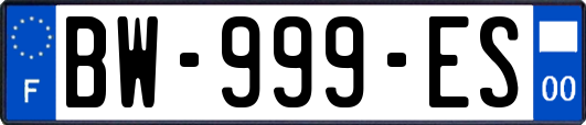 BW-999-ES