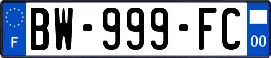 BW-999-FC