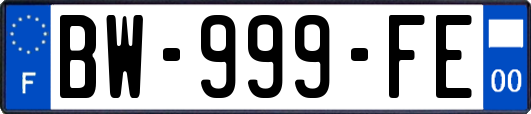 BW-999-FE